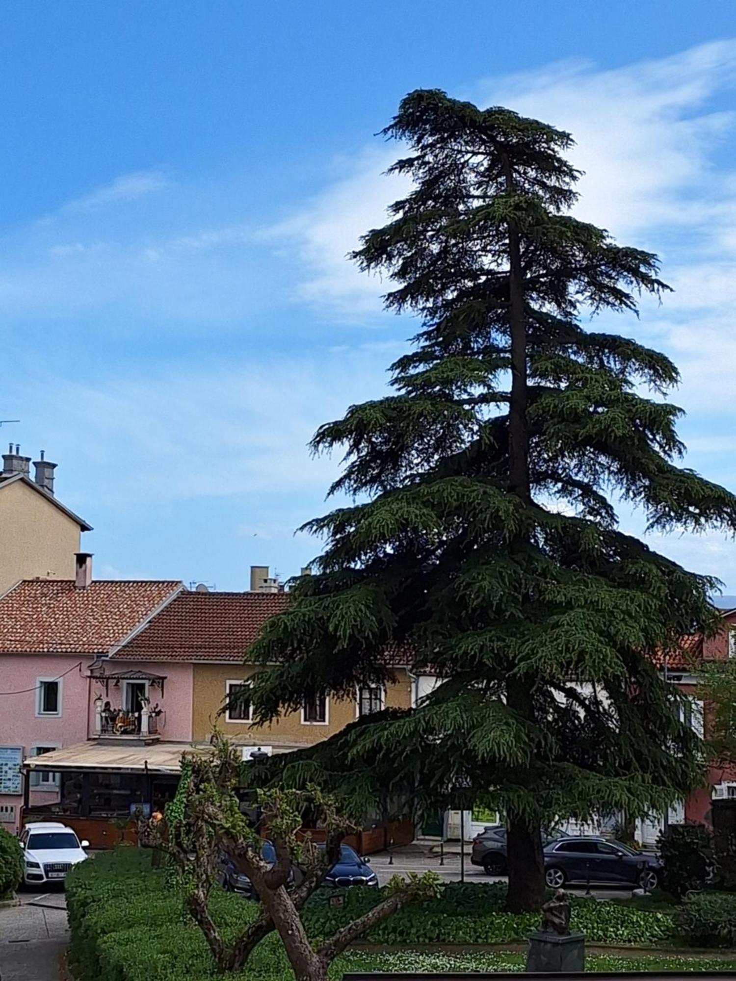 Apartments Knezgrad Lovran Dış mekan fotoğraf